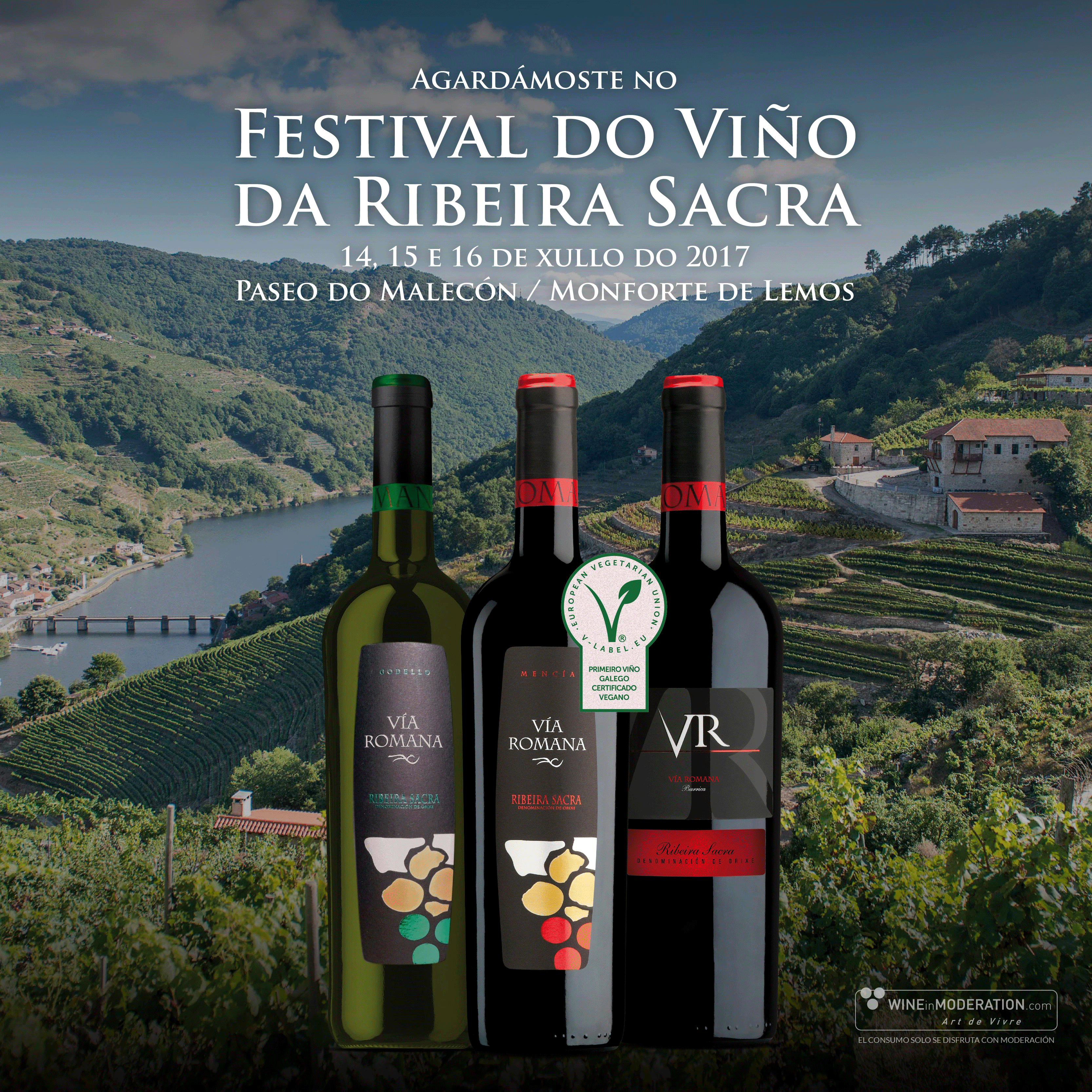 Disfruta del Festival do Viño da Ribeira Sacra con Vía Romana 